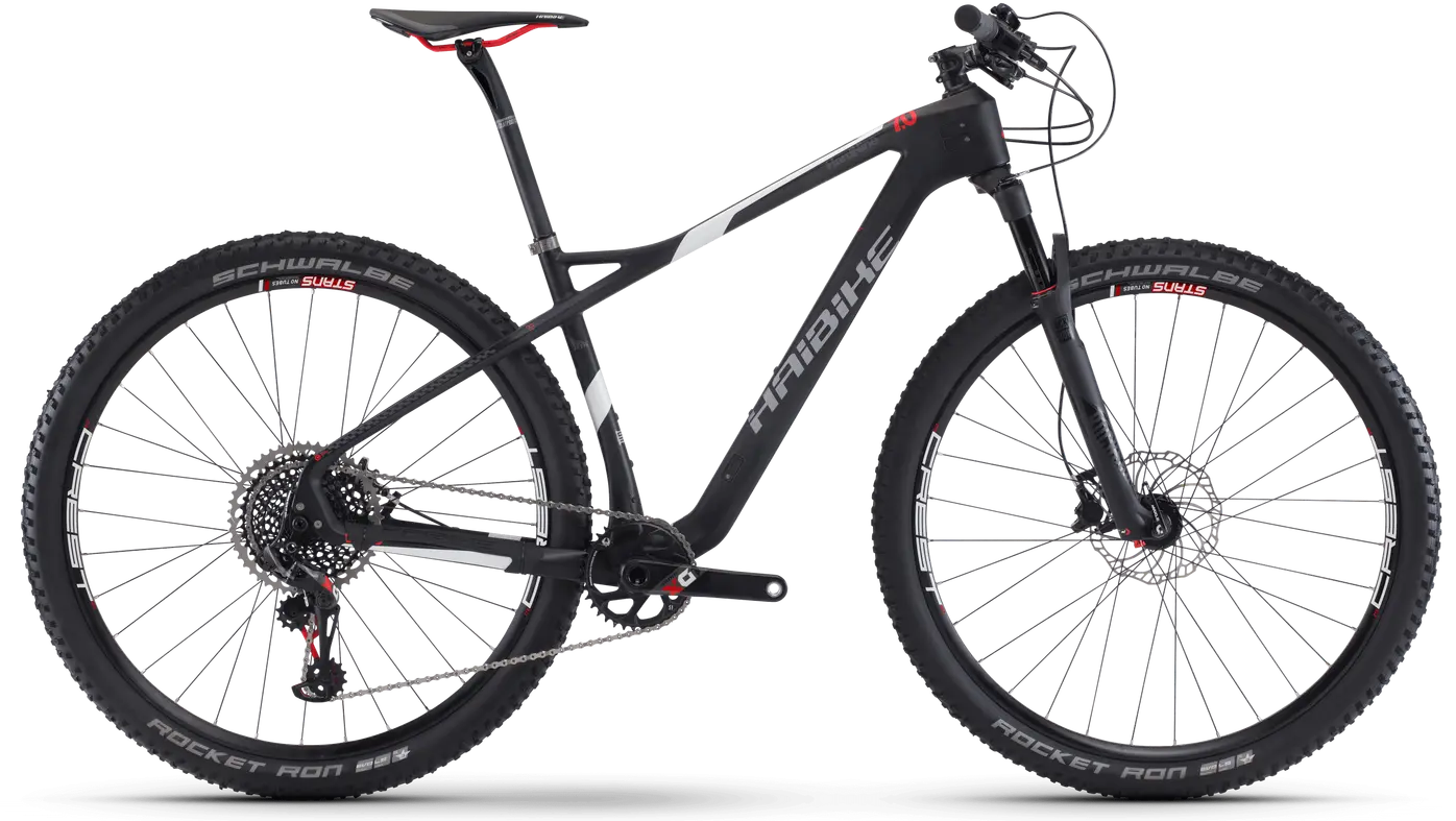 Haibike_2017_GREED_HardNine_70 (1)